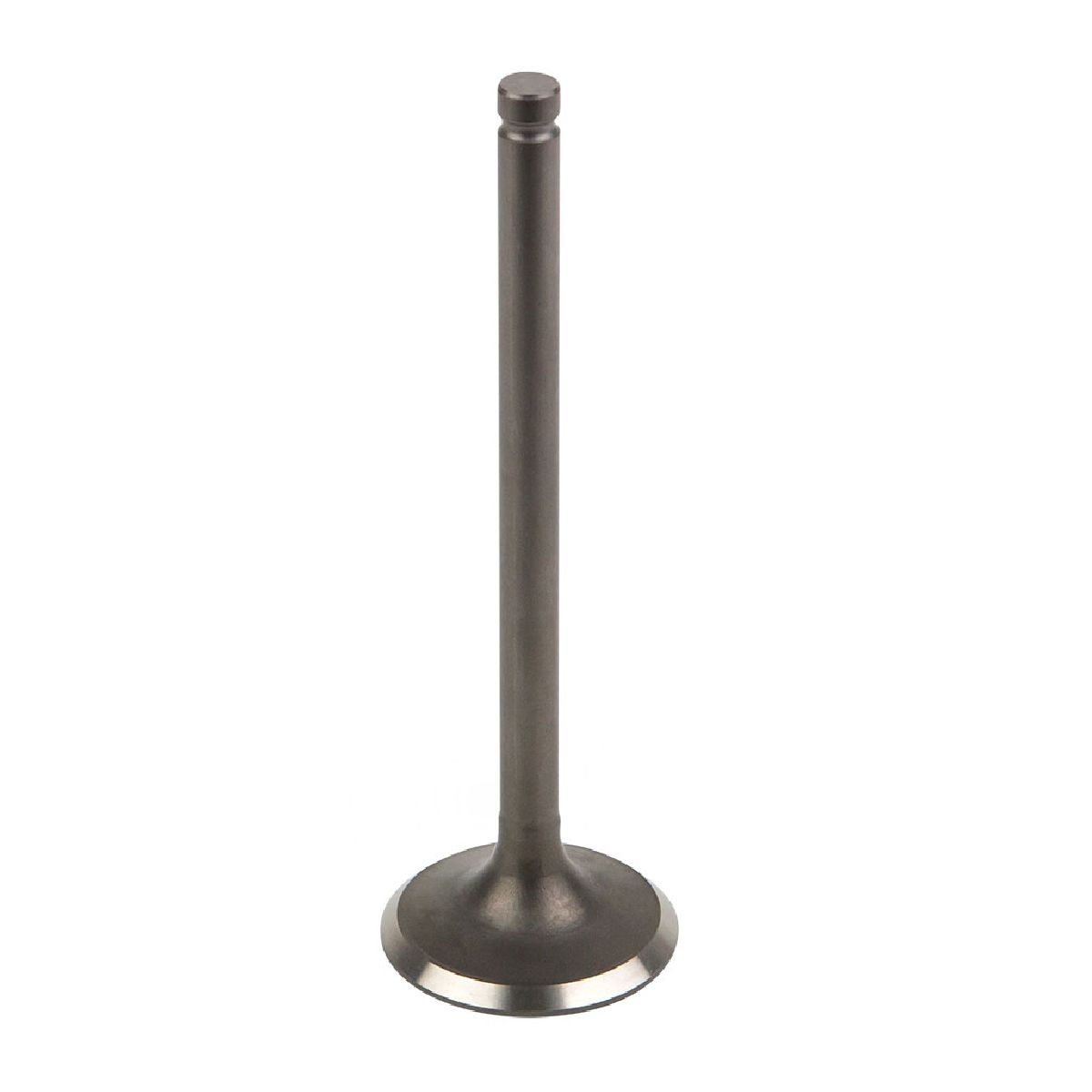 Exhaust Valve Exhaust Valve