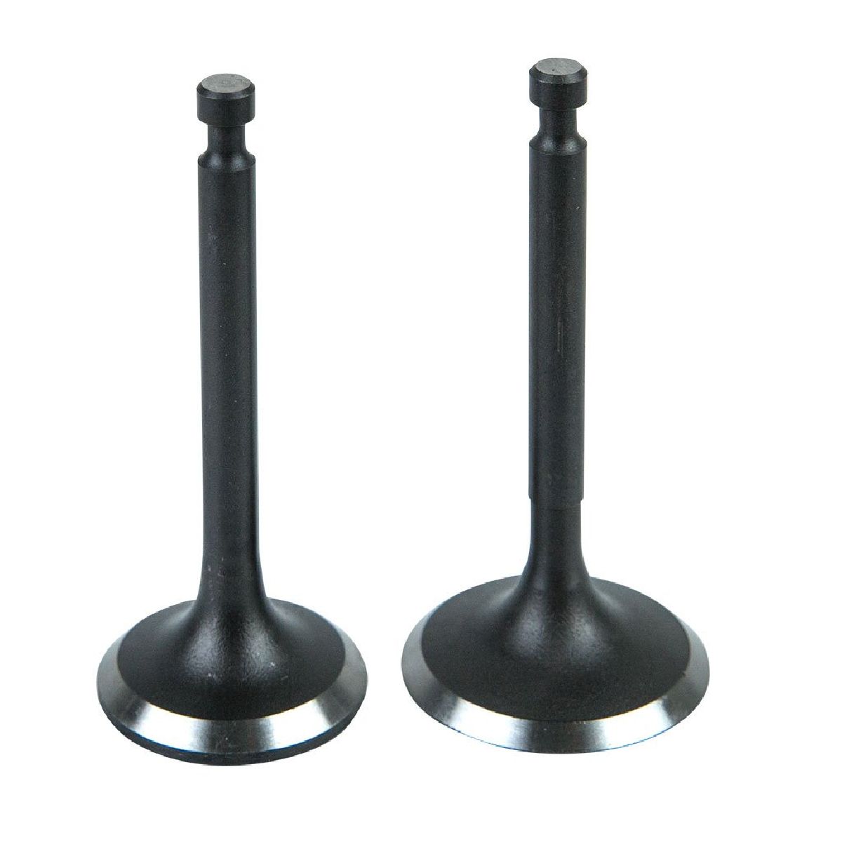 Valve Kit Suits Lc1p70fc ( Ssv200fc ) Valve Kit Suits Lc1p70fc ( Ssv200fc )