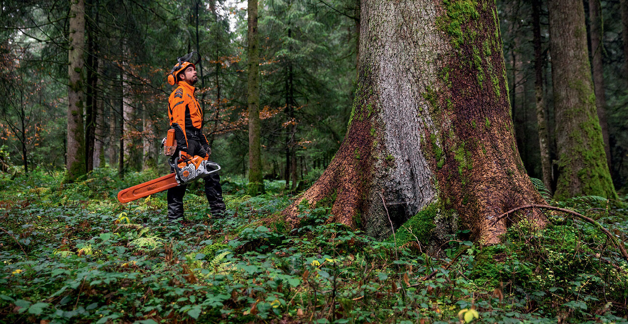 STIHL Innovating: Chainsaw Technology In 2022