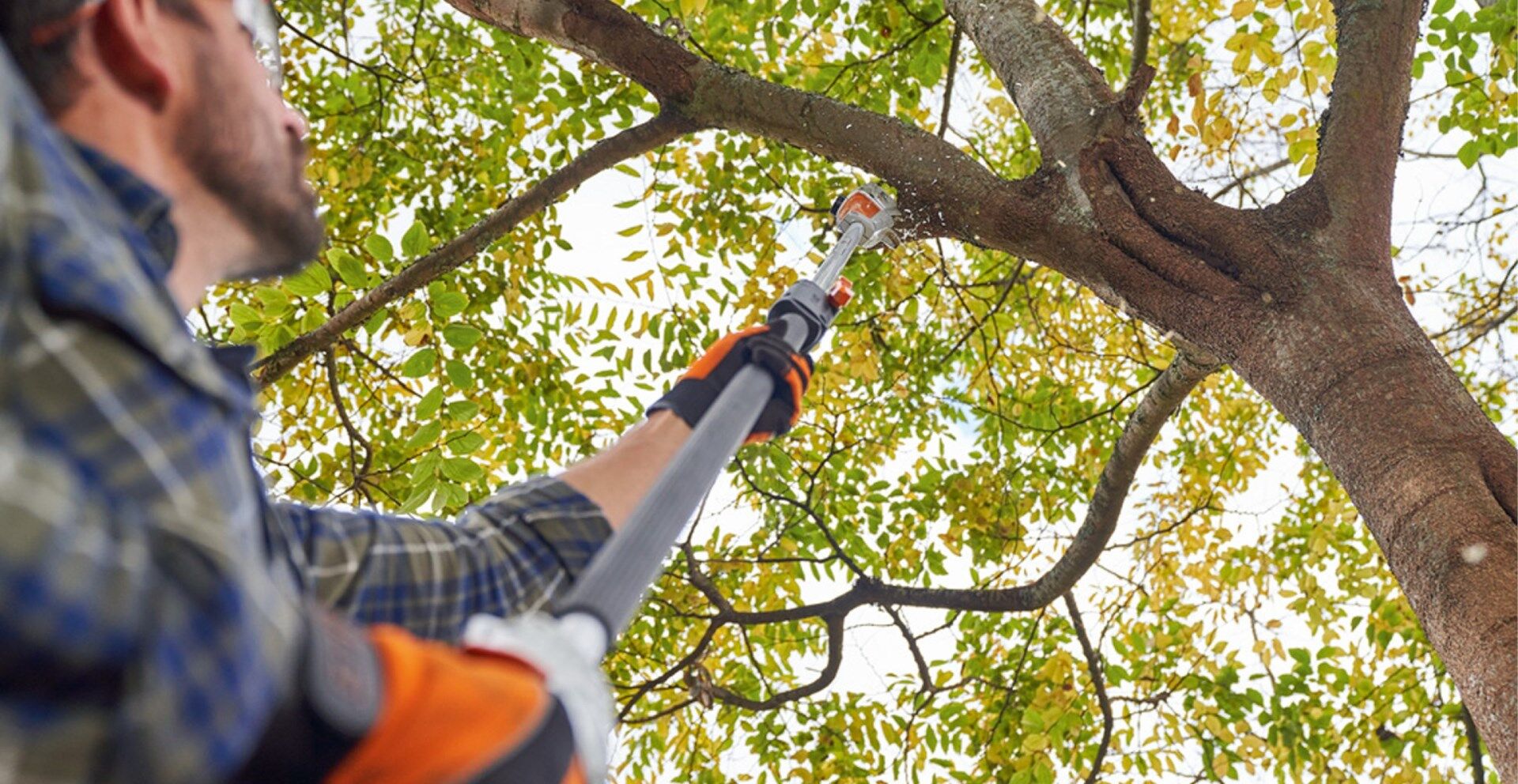 STIHL: The Best Techniques For Trimming Trees